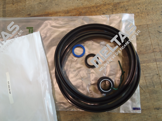 T0051698 Enerfluid