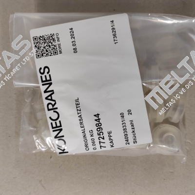 77259844 Demag