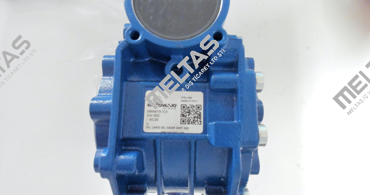 SW063 60,0 120*19 25 U MV Motovario