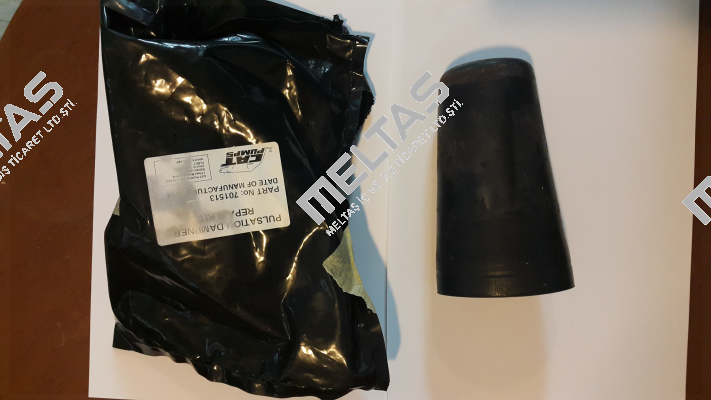 701513  Cat Pumps