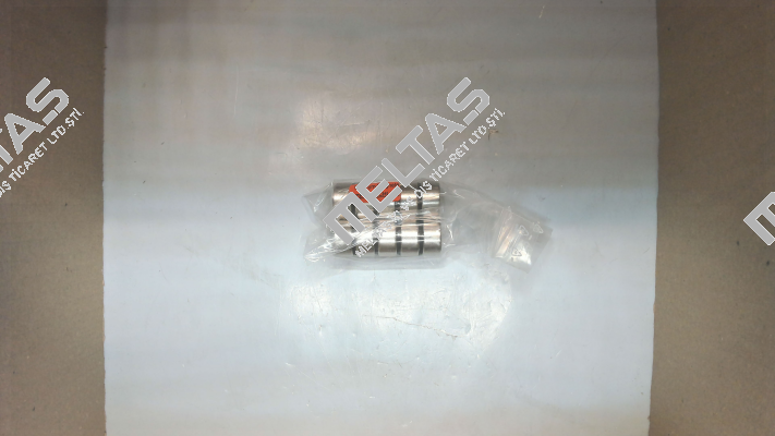 2446-S EarthMag GmbH