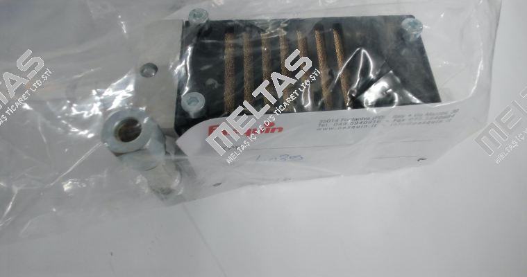 P4035 Pasquin