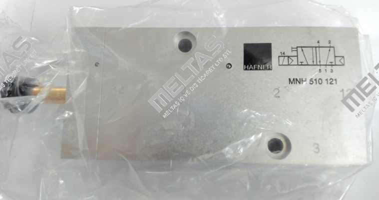 MNH 510 121 Hafner