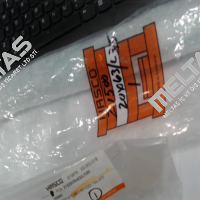 Z1500/20x63/L/315 Hasco