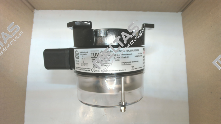 DS21010A21AK0W00 Fischer Mess Regeltechnik