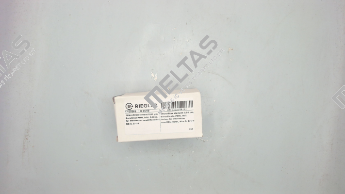 100382 Riegler