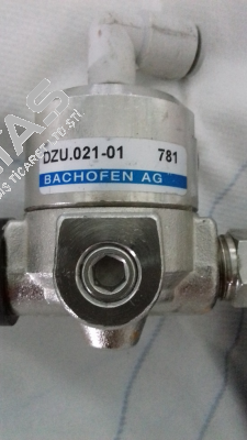 DZU.021-01 Bachofen