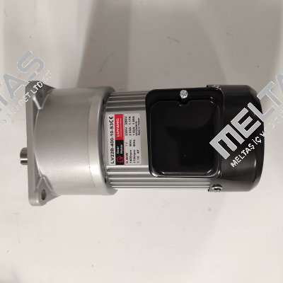 LV22B-400-10-S3 Luyang Gear Motor