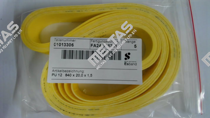 01013306 / Type: PU 12 Esband
