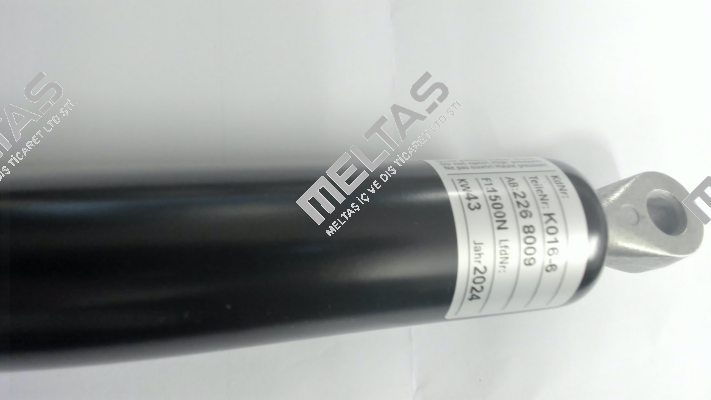 16-6 01600410 Suspa
