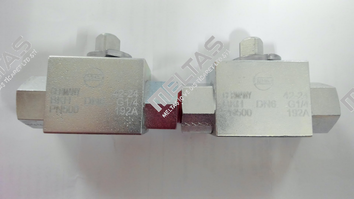 BKH-DN6-G1/4-PN500-192A Mha Zentgraf