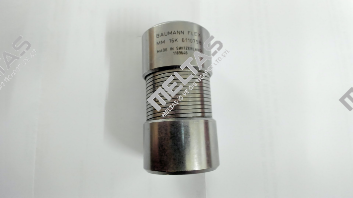 6110798 Baumann