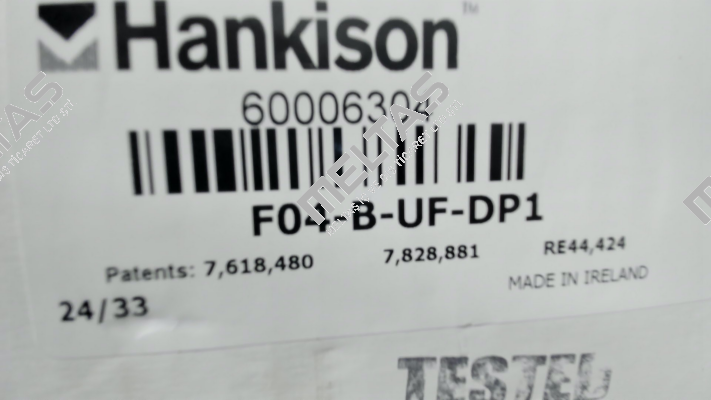 F04-B-UF-DP1 / HA-60006304 Hankison