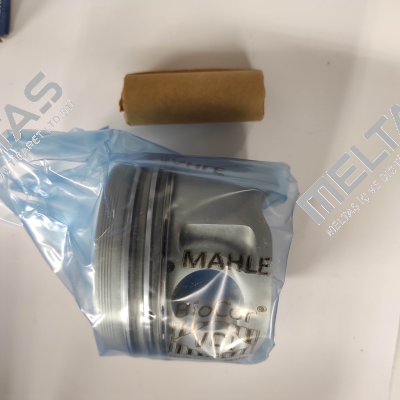 029 82 00 MAHLE
