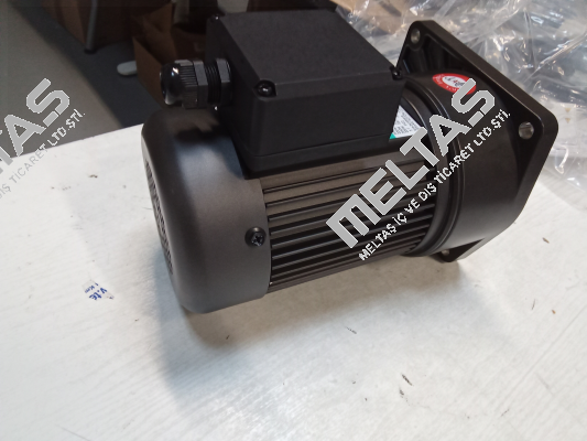 G12V200S-90 Sesame Motor
