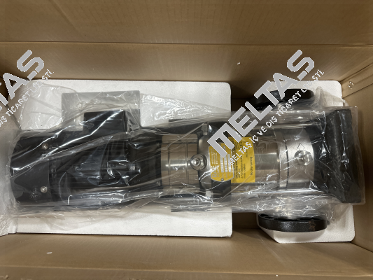 MSVF3-60 Rae Pumps