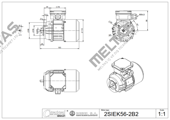 2SIEK56x-4C2 BESEL S.A.
