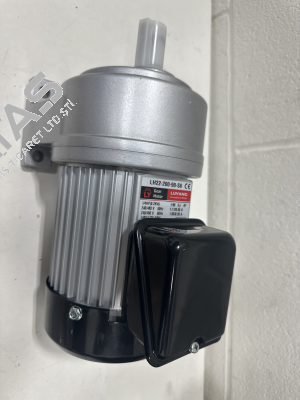 LH22-200-90-S6 (G3TB) Luyang Gear Motor