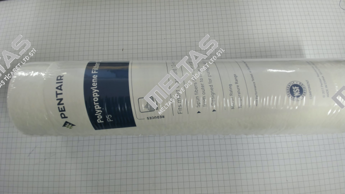 PS5-10 Pentek (Pentair)