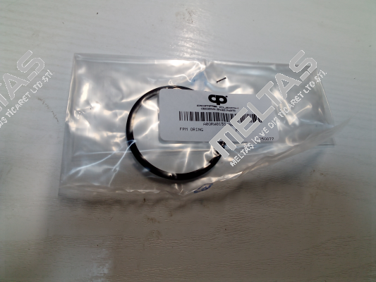 A0ORW0153/00O POMPE CUCCHI SRL