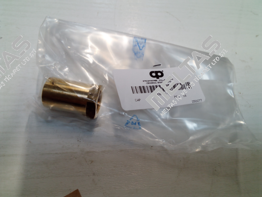 D00BO0005/54V POMPE CUCCHI SRL