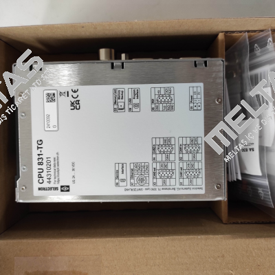 44310201 CPU 831-TG Selectron