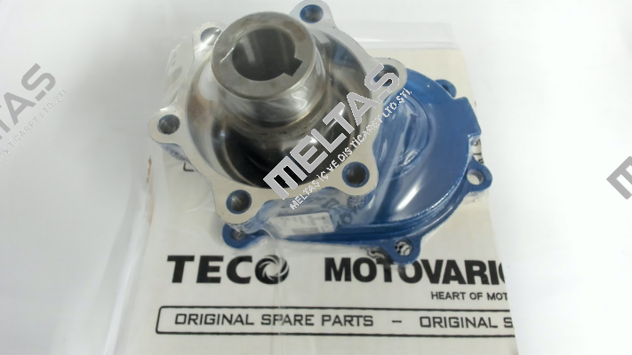 3043876 Motovario