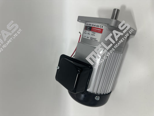 J220-200-10-A-G2 Luyang Gear Motor