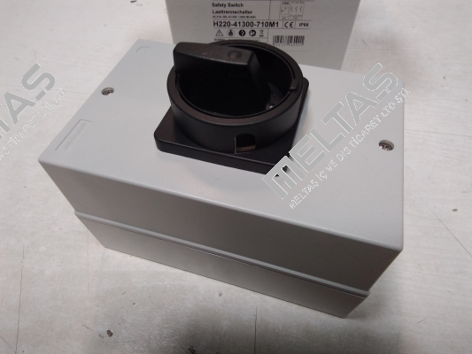 H220-41300-710M1 Salzer