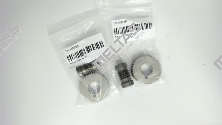 11014865K Woerner