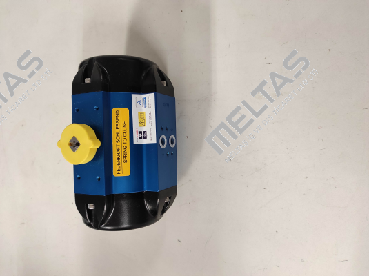 BR03-SAF / 166705 AMG Pesch
