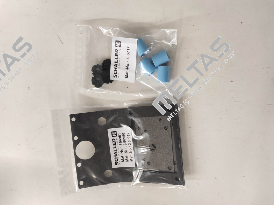 155006 Schaller Automation