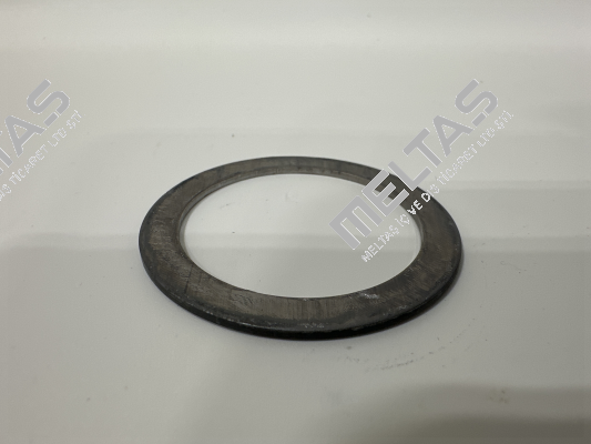 W2T16384 Evoqua Water Technologies