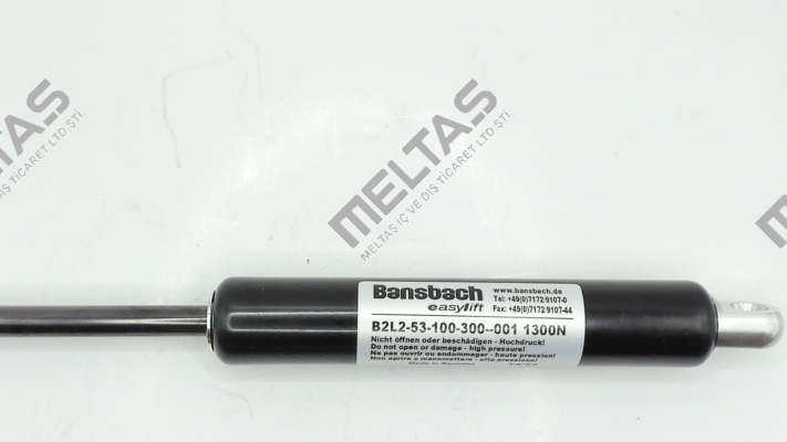 B2L2-53-100-300--001/1300N Bansbach