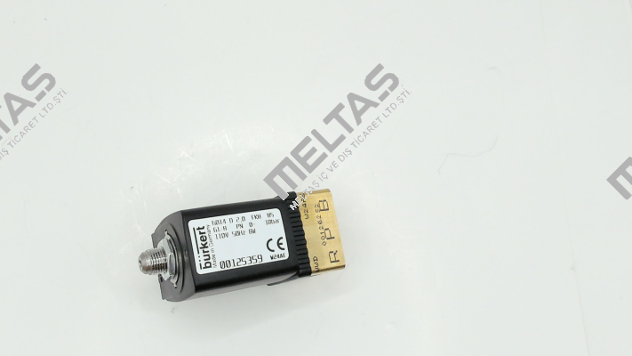 00125359 110V Burkert