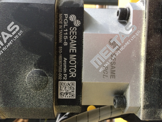 PGL142-12-P2  Sesame Motor