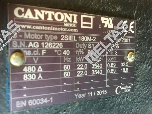 2SIEL 180M-2 22kW B3/B5 400/690V-50Hz IE2  Cantoni