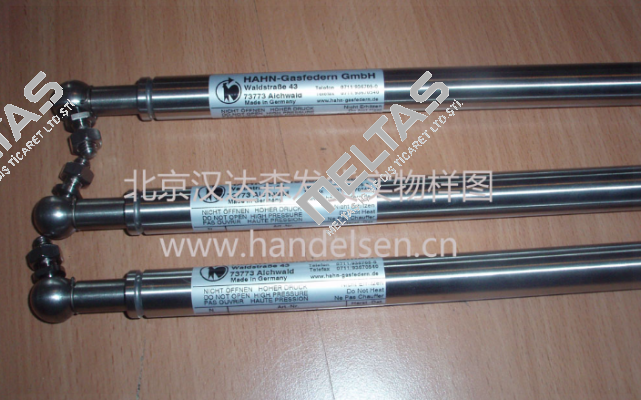 G06-15ST-18186 Hahn Gasfedern