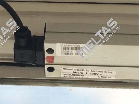 2700120 (Micro L)  Mingardi