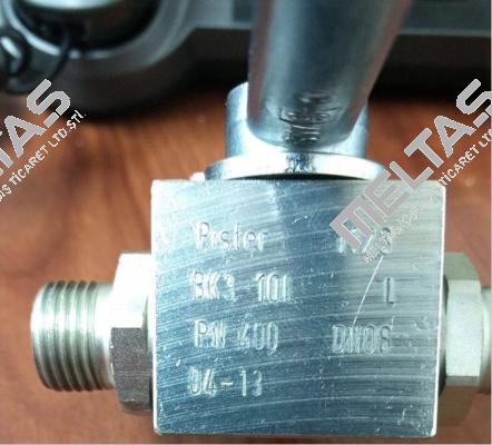 BK3 10L 08 1123 1 L Br155 Pister