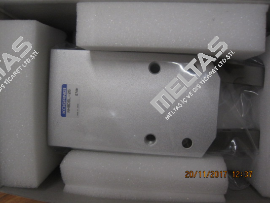NHBDSL-25  Koganei