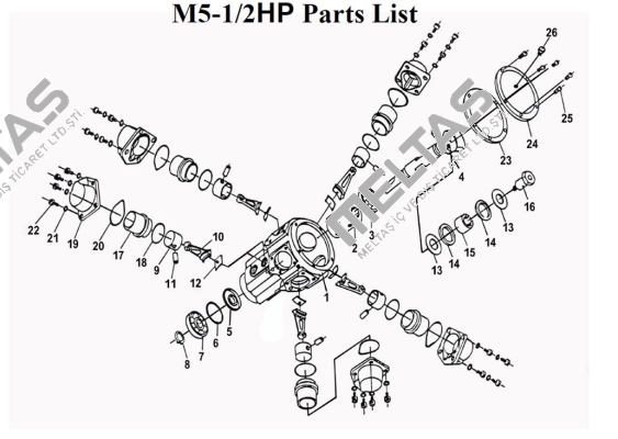 P1-M5 Tonson