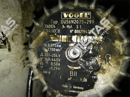 DU56N2075+299 Vogel
