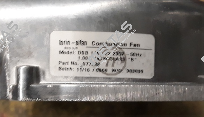 (077338) A1050014 Torin-Sifan