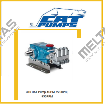 310  Cat Pumps