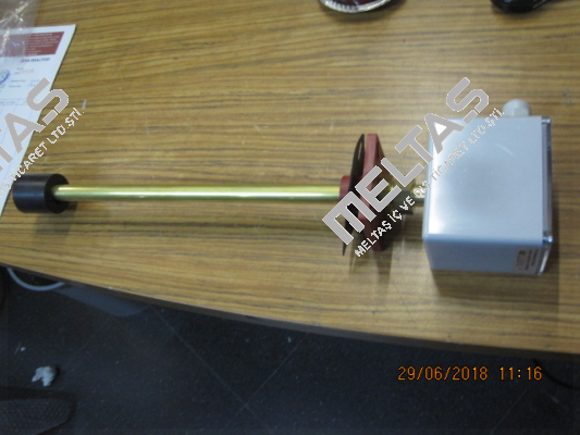 NTR 70-SR40-K2-A-FE-L350-01  Goldammer