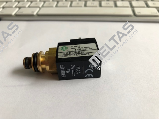 21NIIJNB20-MAA04024CS Ode