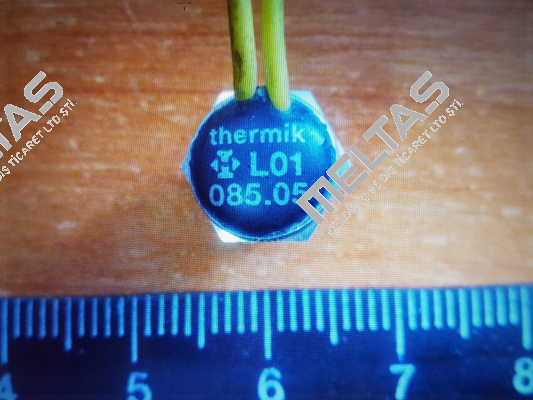 L01.085.05.0560 Thermik