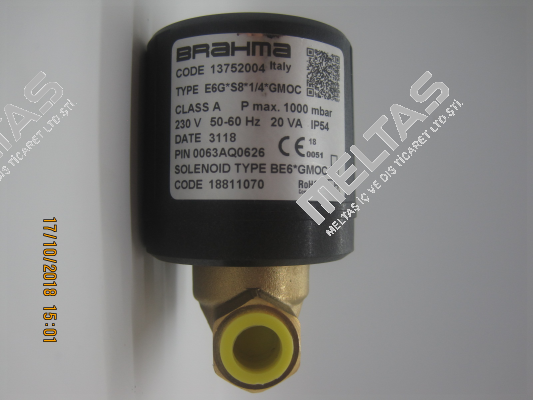 E6G*S8 R1/4" B/BE6*GMOC (stock) Brahma