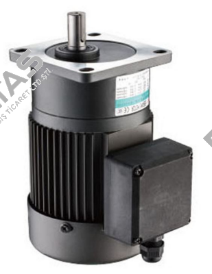 G11V200U-50 Sesame Motor